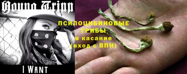 гидропоника Киреевск