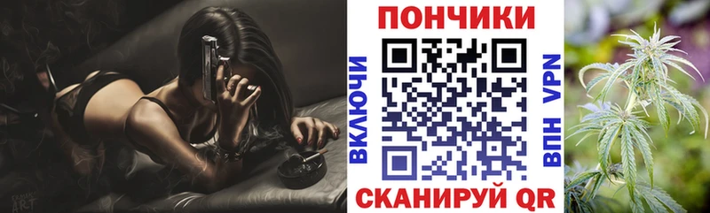 Конопля семена  Купить закладки  Фрязино 